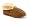 Chestnut