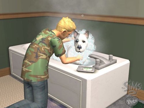 The Sims 2 Pets Expansion Pack image