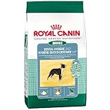 Royal Canin Mini Dental Hygiene (24) Formula Dry Dog Food
