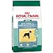Details About Royal Canin Mini Dental Hygiene (24) Formula Dry Dog Food
