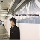 Click here to buy The Fine Art of Self Destruction by  Jesse Malin .
