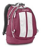 JanSport Sputnik Backpack with Laptop Compartment (Pink Daiquiri)