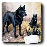 Dogs Schipperke - Schipperkes - Mouse Pads