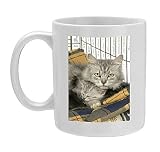 Photo Mug of Cat. Tiffanie cat. Mother lying in cage with kitten (6 weeks old) from Ardea