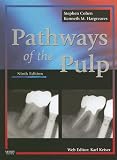 Pathways of the Pulp