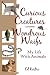 Book Curious Creatures - Wondrous Waifs