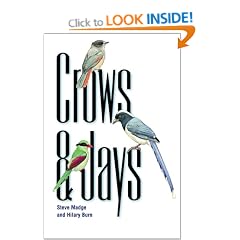 Crows and Jays