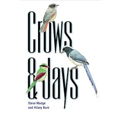 Crows and Jays.