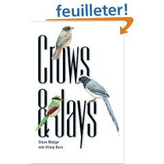 Crows and Jays