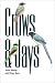Crows and Jays.