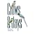 Crows and Jays