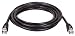 Tripp Lite P415-014 High Speed Internet Modem Cable RJ11M/M Black - 14ft