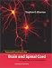 Book Form and Function in the Brain and Spinal Cord: Perspectives of a Neurologist (Issues in Clinical and Cognitive Neuropsychology)