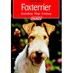 Foxterrier
