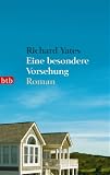 Image of Eine besondere Vorsehung: Roman