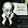 Beethoven: The Five Piano Concertos