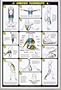 Aerobic Flexibility Chart