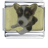 Husky Puppy Animal Photo Italian Charms Bracelet Link - B0002H7E2I