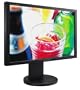 Samsung 205BW Wide Format Analog/Digital LCD Monitor