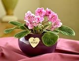 Be Mine Violet - An Adorable Valentine's Day Gift!