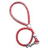 50 ft dog leash