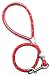 Training Leash 2-Foot Sunset Red