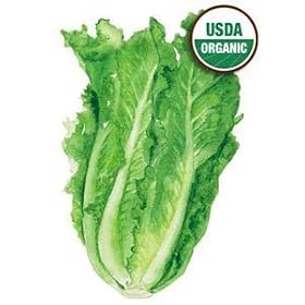 Lettuce Romaine Parris Island Cos Certified Organic Heirloom Seeds 275 Seeds