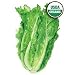 Lettuce Romaine Parris Island Cos Certified Organic Heirloom Seeds 275 Seeds