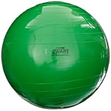 Gymnic Exercise and Play Ball with Thick Vinyl Exterior - 25 1/2 inches - Green