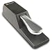 Musical Instruments : M-Audio SP-2 US65010 Sustain Pedal Piano Style Sustain Pedal for Keyboards