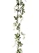 Faux 6? Wisteria Garland w/Grape Vine White (Pack of 6)