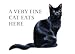 A Very Fine Cat Eats Here - Standard Pet Place Mat