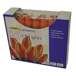 C9 Outdoor 25 Light Set Up To 2 Sets Can Be Strung by 
