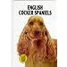 English Cocker Spaniels