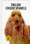 English Cocker Spaniels