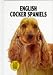 cocker spaniel - English Cocker Spaniels