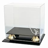 Arizona Cardinals Coach's Choice Mini Helmet Display