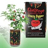 The Patent Magic Plant- Cherry Pepper