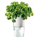 selbstwässernder Blumentopf, weiss 13cm