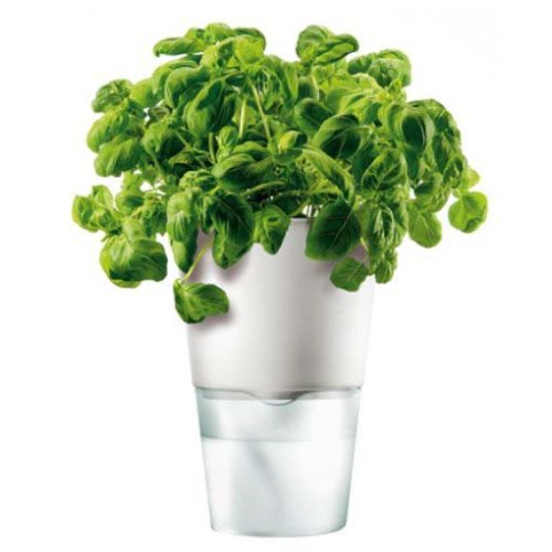 Childrens Toyshop  Outdoor Living : EVA SOLO SELF WATERING FLOWER POT - WHITE