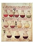 Series of Flagons for Urine Analysis, from "Tractatus De Pestilencia" Giclee Poster Print by M. Albik, 12x16