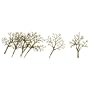 Premium Tree Armatures, Deciduous 1.5-3" (30)