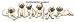 Mastiff - Puppies in a Row by Cindy Farmer