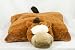 Horse Pillow Pet 19 Horse Pillow Pet 19