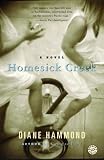 Homesick Creek: A Novel