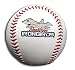 Aberdeen IronBirds Logo Ball