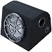 Pioneer Ts-Wx121 12 Inch Bass-Reflex Enclosed Subwoofer (PIONEER TSWX121)