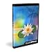 Upgrade to QuarkXPress  English Version 6.5 - Mac