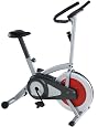 Stamina CPS 1305 Indoor Upright Exercise Bike