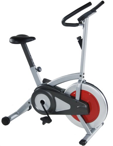 Stamina CPS 1305 Indoor Upright Exercise Bike